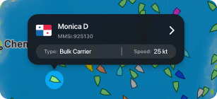 Detailed vessel info